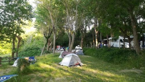 camping gabicce